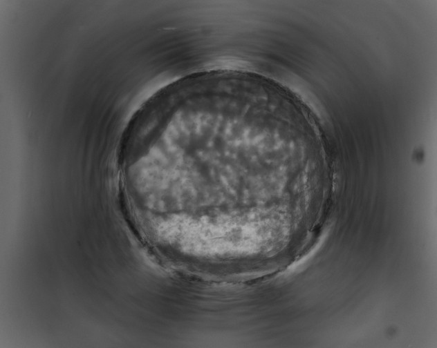 X0000101121117200807171953