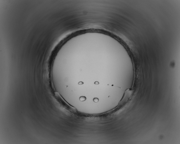 X0000101121118200807171953