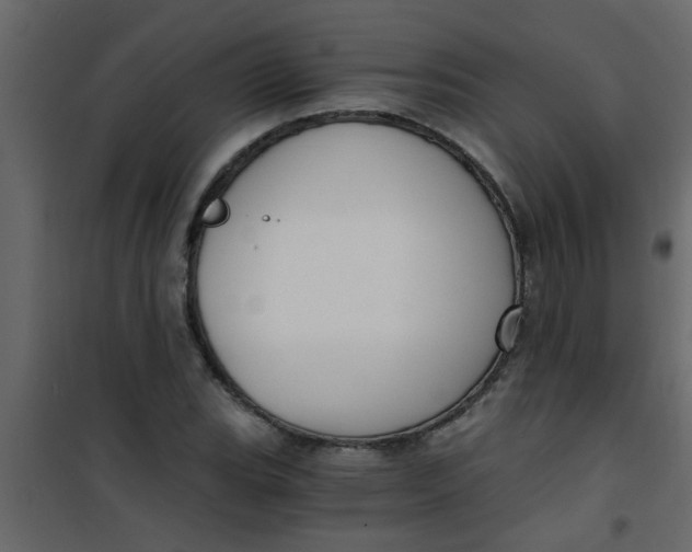 X0000101121119200807171953