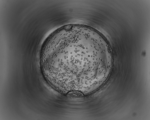 X0000101121120200807171953