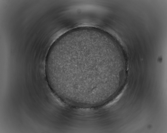 X0000101121121200807171953