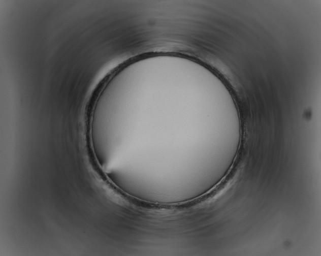 X0000101121122200807171953