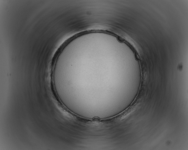 X0000101121124200807171953
