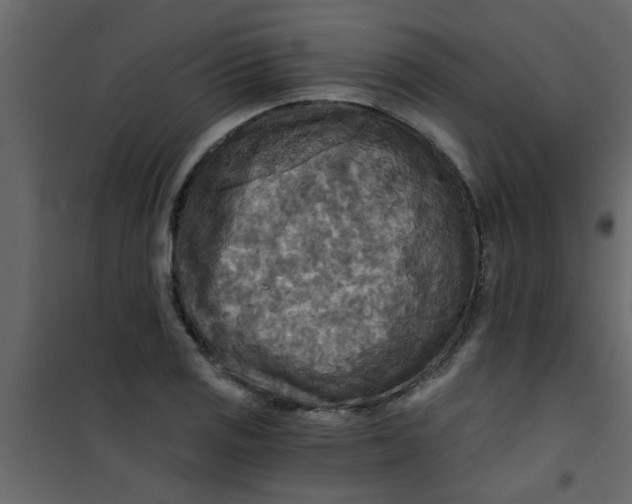 X0000101121125200807171953