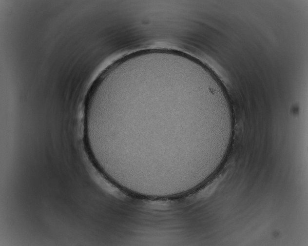 X0000101121126200807171953