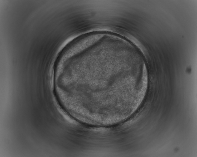 X0000101121127200807171953