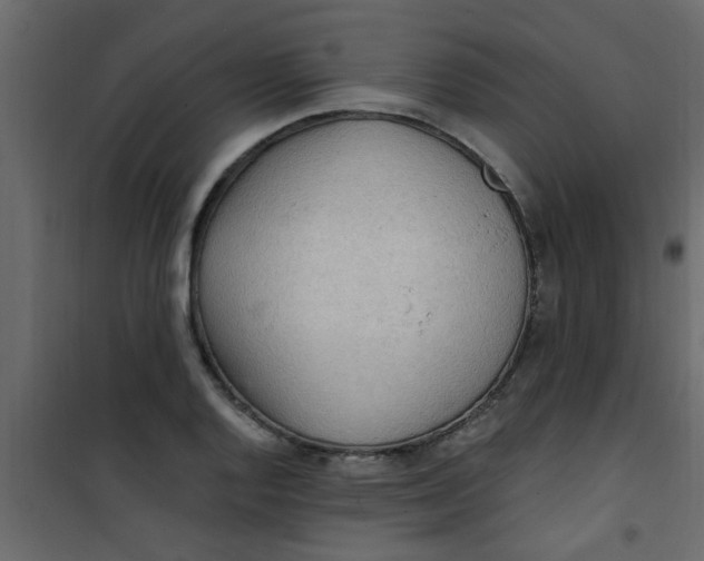 X0000101121128200807171953
