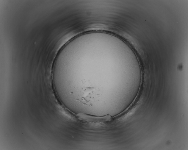 X0000101121129200807171953