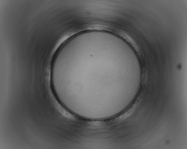 X0000101121130200807171953