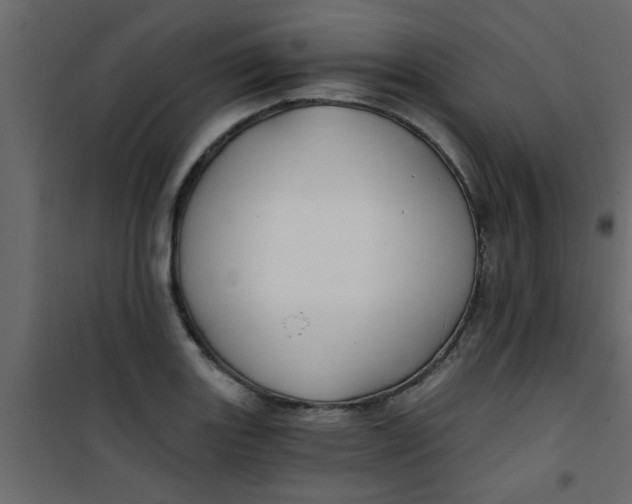 X0000101121131200807171953