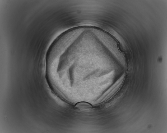 X0000101121132200807171953