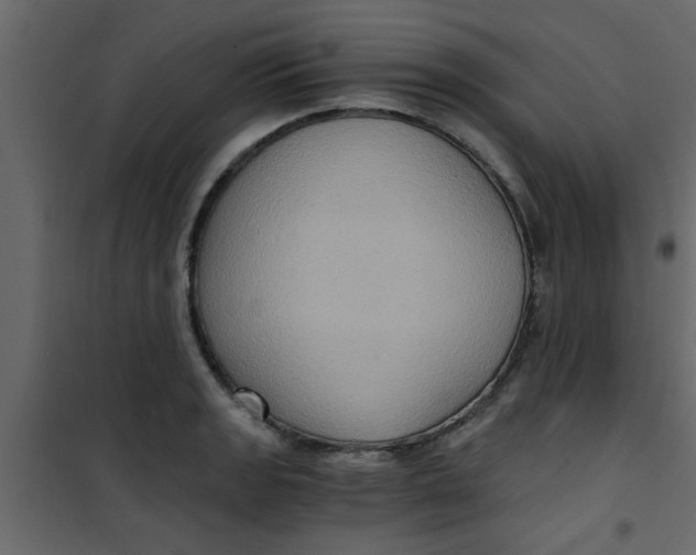 X0000101121133200807171953