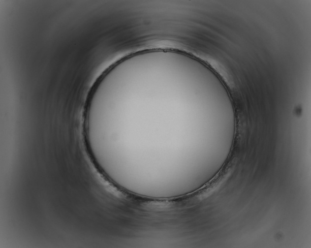 X0000101121134200807171953