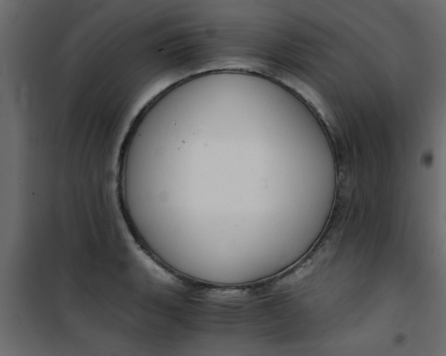 X0000101121135200807171953