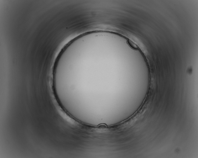 X0000101121136200807171954