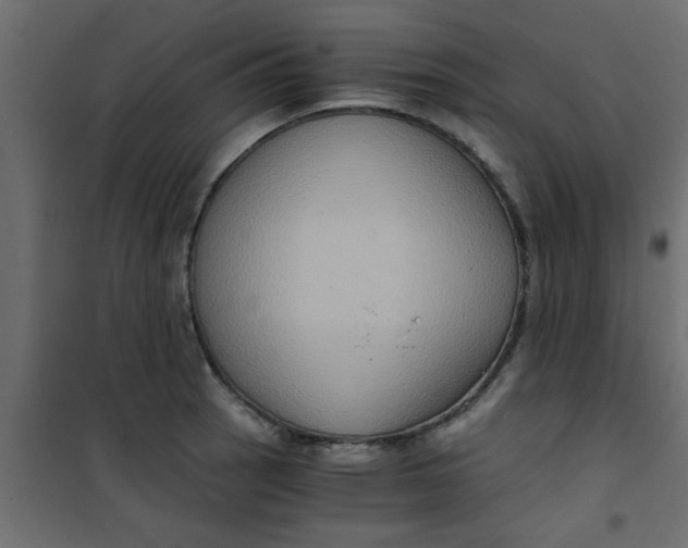 X0000101121137200807171954