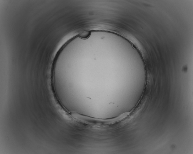 X0000101121138200807171954