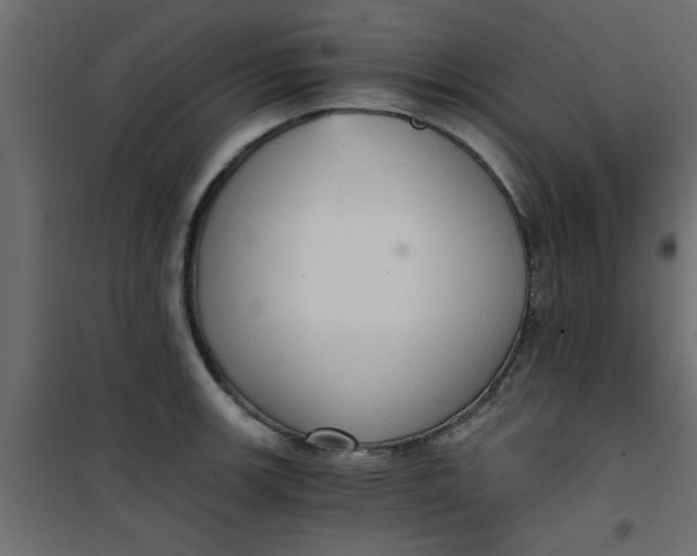 X0000101121139200807171954