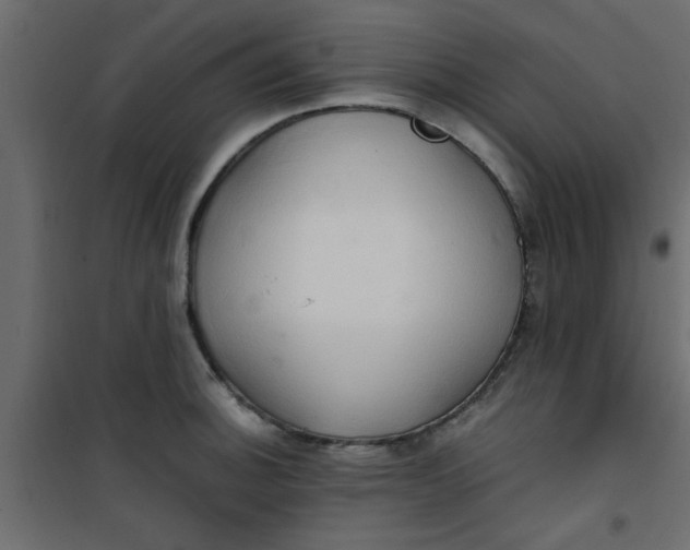 X0000101121140200807171954