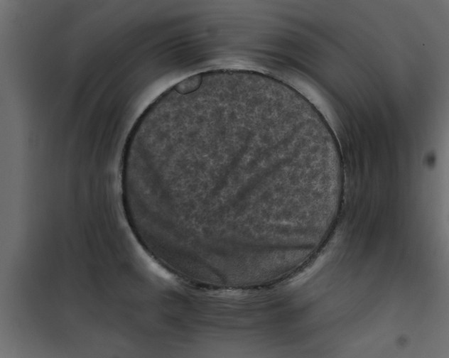X0000101121141200807171954