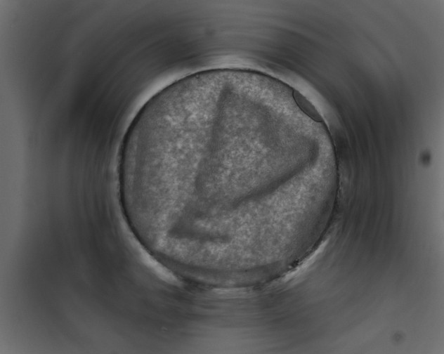 X0000101121142200807171954