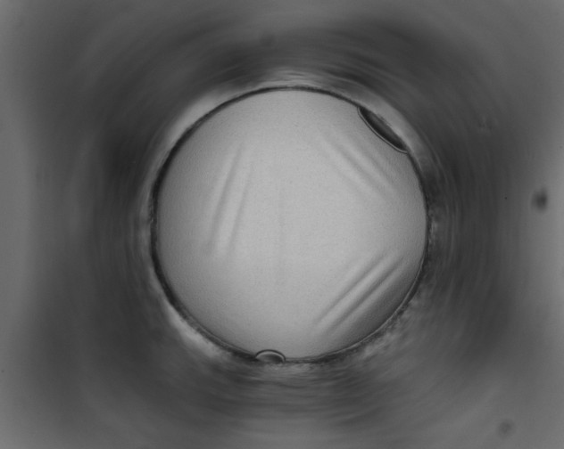 X0000101121143200807171954