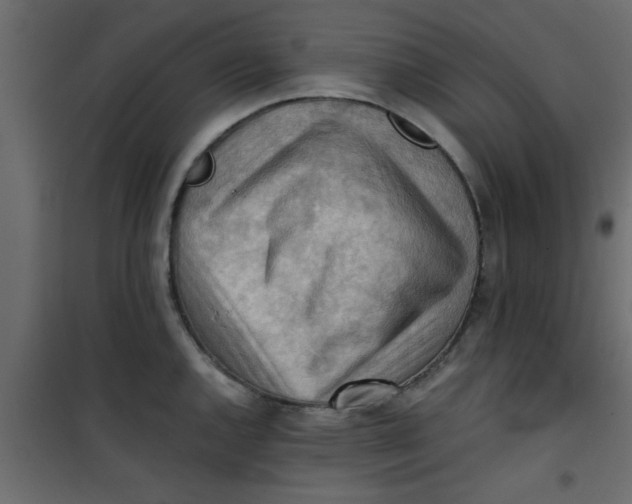 X0000101121144200807171954