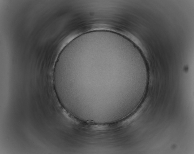 X0000101121145200807171954
