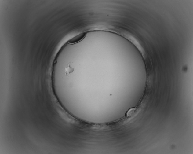 X0000101121146200807171954