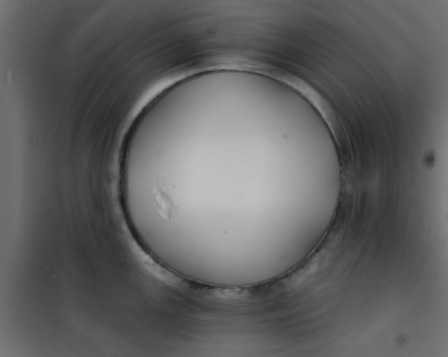X0000101121147200807171954