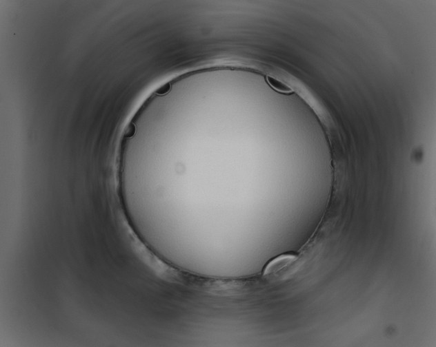 X0000101121148200807171954