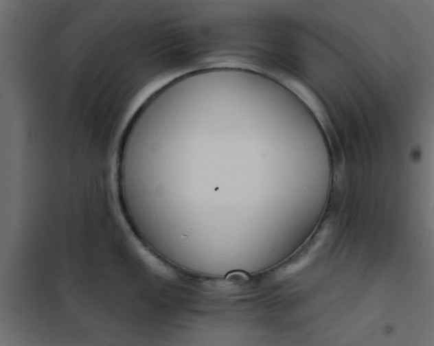 X0000101121149200807171954