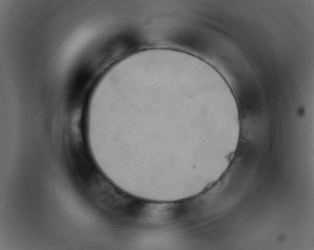 X0000101121150200807171954