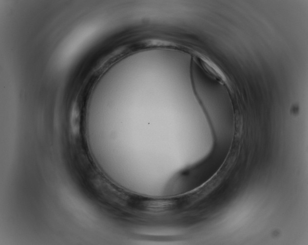 X0000101121151200807171954