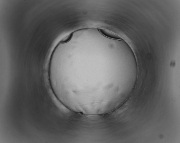 X0000101121152200807171954