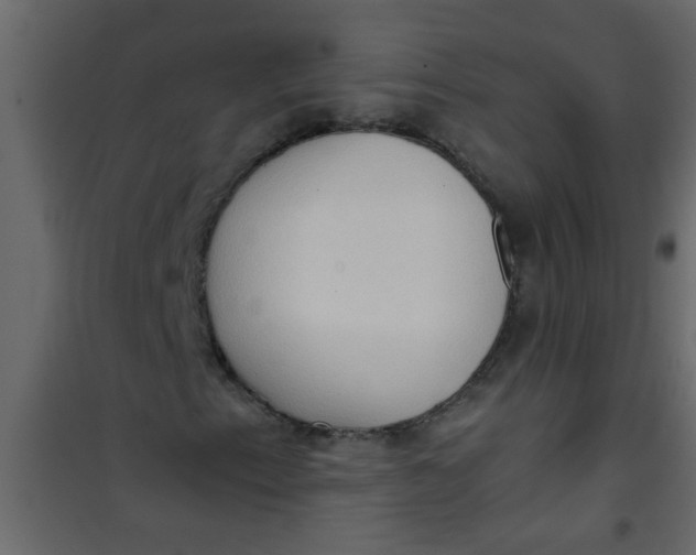 X0000101121153200807171953