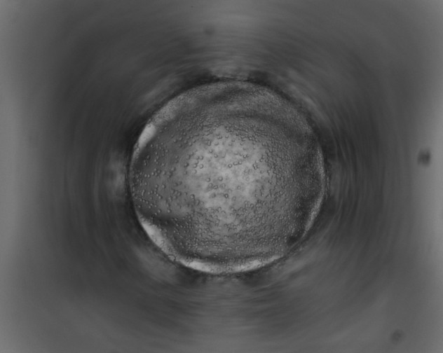 X0000101121154200807171953