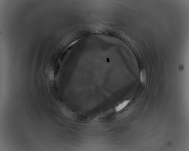 X0000101121155200807171953