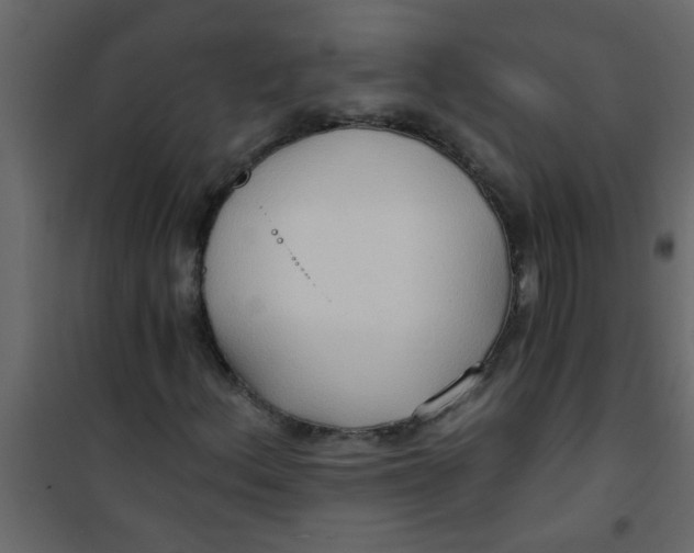 X0000101121156200807171953