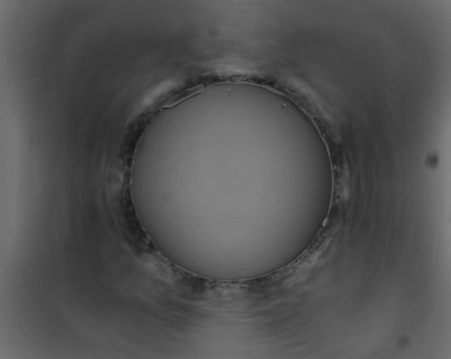 X0000101121157200807171953