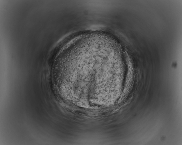 X0000101121158200807171953