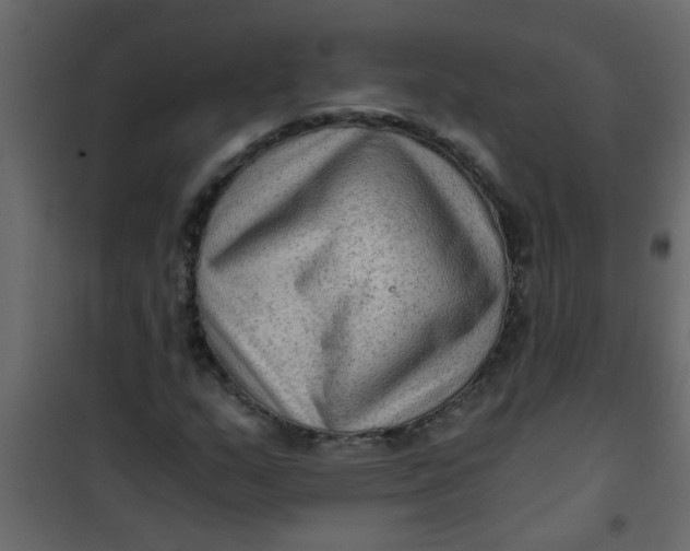 X0000101121159200807171953