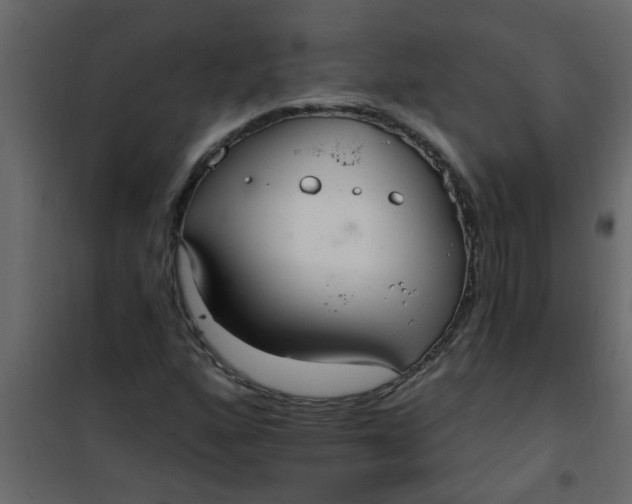 X0000101121160200807171953