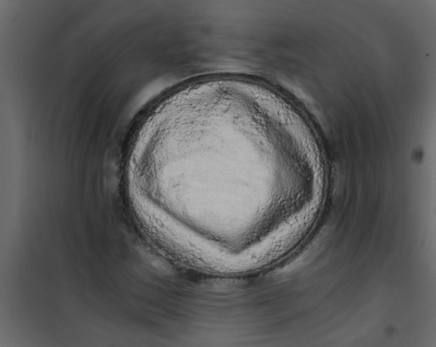 X0000101121163200807171953