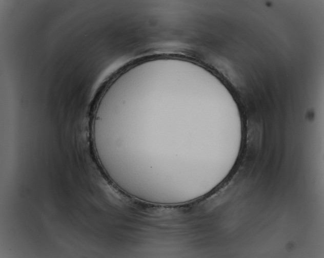 X0000101121164200807171953