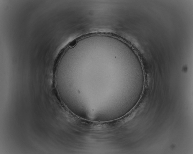 X0000101121165200807171953
