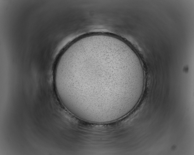 X0000101121167200807171953