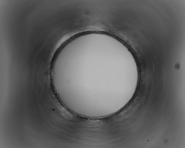 X0000101121168200807171953