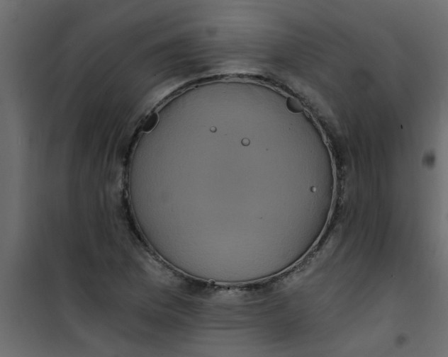 X0000101121169200807171953