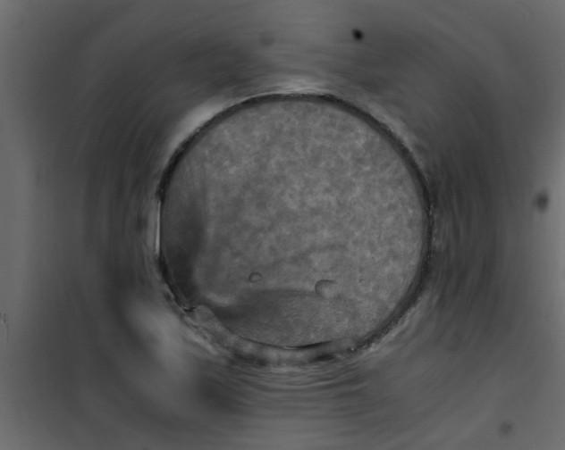 X0000101121171200807171953